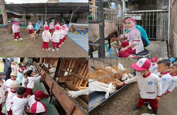 KUNJUNGAN EDUKATIF, SERU-SERUAN BELAJAR DI PETERNAKAN KAMBING