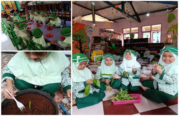 BELAJAR DARI ALAM, MENGENAL SAYUR KANGKUNG DARI KEBUN HINGGA MEJA MAKAN